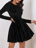 Velvet Ruffle Hem Aline Dress, Vintage Crew Neck Long Sleeve Dress For Spring & Fall, Women's Clothing